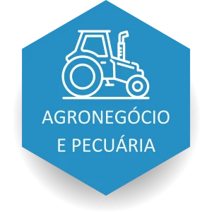 AGRONEGÓCIO E PECUÁRIA